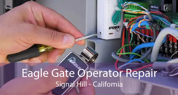 Eagle Gate Operator Repair Signal Hill - California