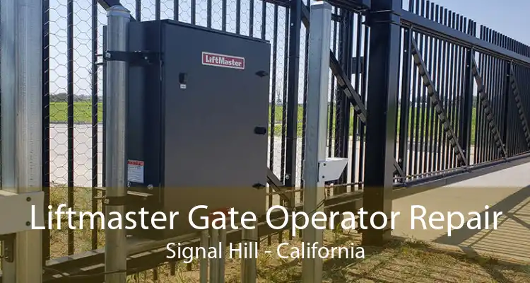 Liftmaster Gate Operator Repair Signal Hill - California